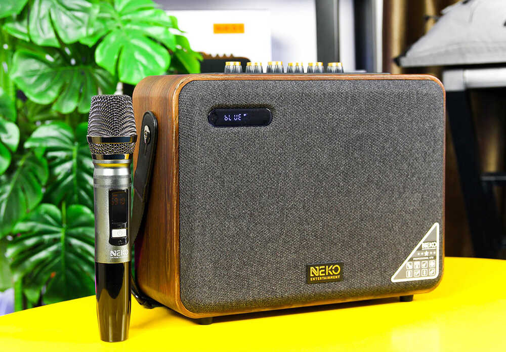 Loa karaoke Bluetooth – Xu hướng tiện lợi cho gia đình